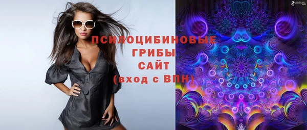 мяу мяу мука Алексин